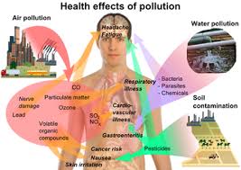 Image result for acid rain affect on human health